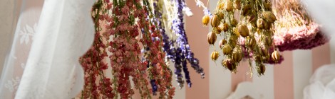 Perfume展2